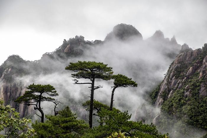 雨中三清山云遮霧繞如水墨畫(huà)