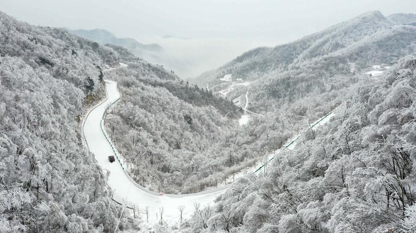 湖北?？惮F(xiàn)森林霧凇景觀 如水墨畫(huà)卷